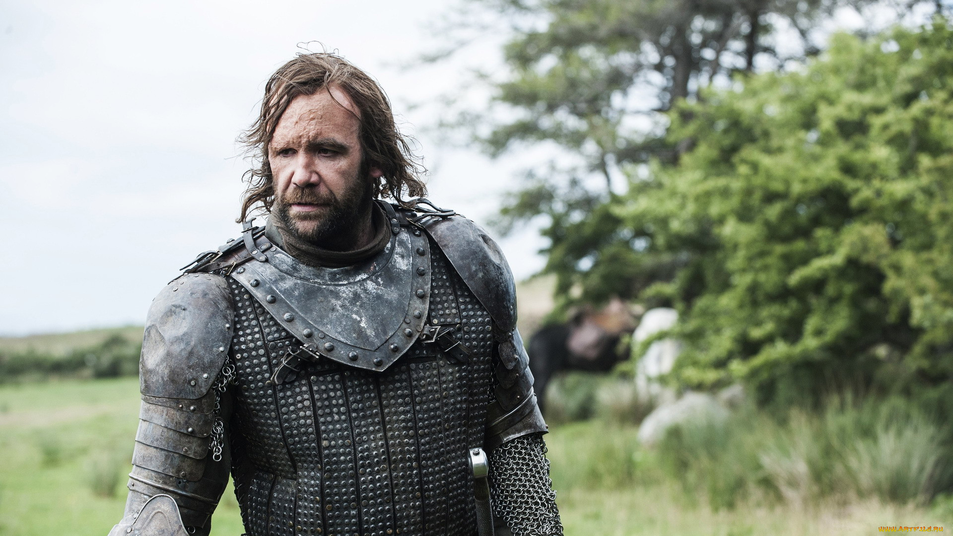  , game of thrones , , the, hound, rory, mccann